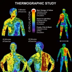 Elaimei Hot Sweat Cream Enhancer 13 Elaimei Hot Sweat Cream Enhancer -Thefightfactory Shop ELAIMEIHotSweatCream1.2 1a428755 5661 40c7 9a78 5846b33d7a46