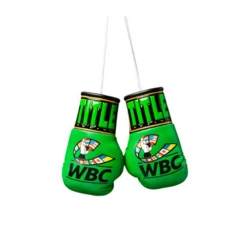 Title WBC Mini Boxing Gloves 5 Title WBC Mini Boxing Gloves -Thefightfactory Shop TITLEWBCMiniBoxingGloves1