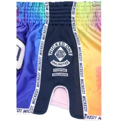 Wicked One Rainbow Muay Thai Shorts 12 Wicked One Rainbow Muay Thai Shorts -Thefightfactory Shop WickedOneRainbowMuayThaiShorts5