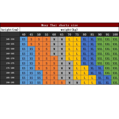 Wicked One Rainbow Muay Thai Shorts 8 Wicked One Rainbow Muay Thai Shorts - Image 6