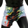 Fairtex Slim Cut Muay Thai Shorts Satoru Grey BS1909 -Thefightfactory Shop aa 1dd71542 177c 42cf 9a78 69ac88e990a4