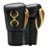 Sting Evolution Boxing Gloves - Lace Up 1 Sting Evolution Boxing Gloves - Lace Up -Thefightfactory Shop evo lace