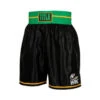 Title WBC Professional Boxing Trunks -Thefightfactory Shop wbc df4e375a 9fbe 4cb9 af06 8808021f614a